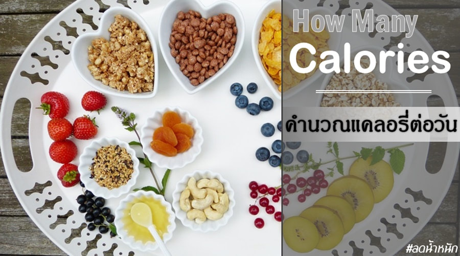 มาลดน้ำหนักด้วยการนับแคลอรี่กันเถอะ!!! โปรแกรมคำนวณแคลอรี่ที่ร่างการต้องการต่อวัน  Daily Calories Intake Calculator